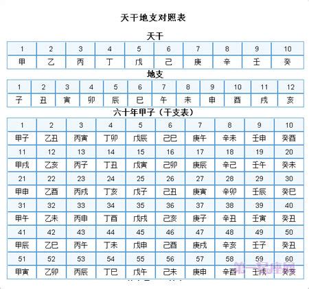 2024天干地支年